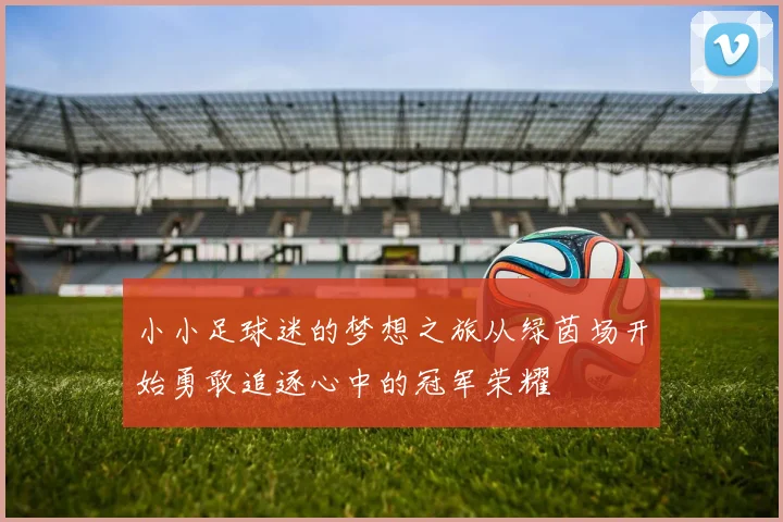 小小足球迷的梦想之旅从绿茵场开始勇敢追逐心中的冠军荣耀