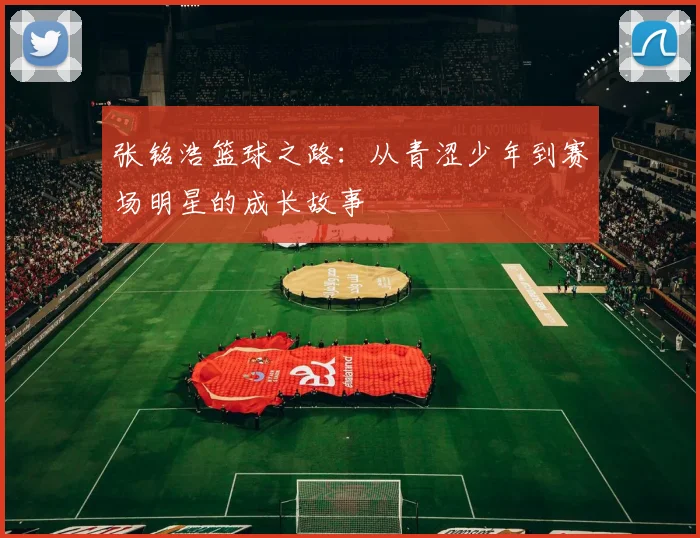 张铭浩篮球之路：从青涩少年到赛场明星的成长故事